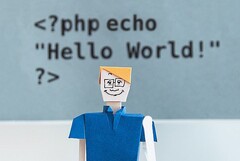 PHP trails behind C family programming languages in popularity (Image source: KOBU Agency on Unsplash)