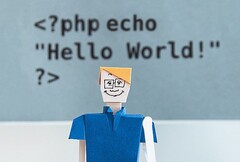 PHP trails behind C family programming languages in popularity (Image source: KOBU Agency on Unsplash)