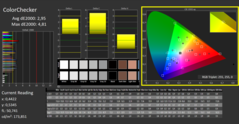 CalMAN - ColorChecker (calibrated)