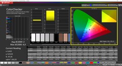 CalMAN ColorChecker (Schenker profile)