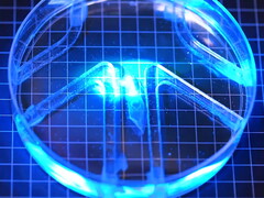 The biohybrid robot is illuminated with light