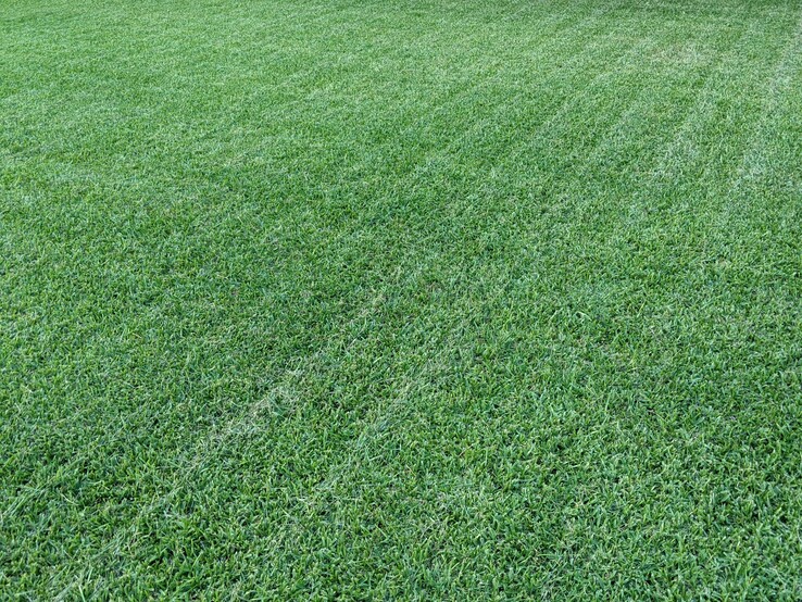 Great results from a multiple pass