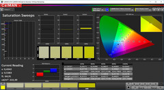 CalMAN Saturation Sweeps calibrated (target color space P3)