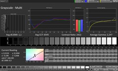 Internal display: Grayscale (Profile: Professional, Target color space: sRGB)