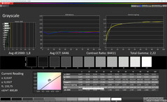 Gray scales (Color: Professional, color temperature: Warm, target color space: sRGB)