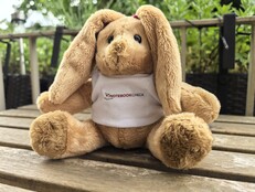 Huawei Pura 70 Ultra: Sample photo