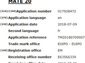 Huawei Mate 20 trademark filing details (Source: Mobiel kopen)