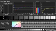 CalMAN: Greyscale (calibrated)