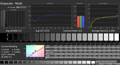 CalMAN: Greyscale (calibrated)