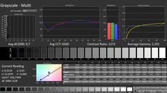 Calman: Grayscale (calibrated)