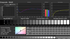 Calman: Grayscale (calibrated)