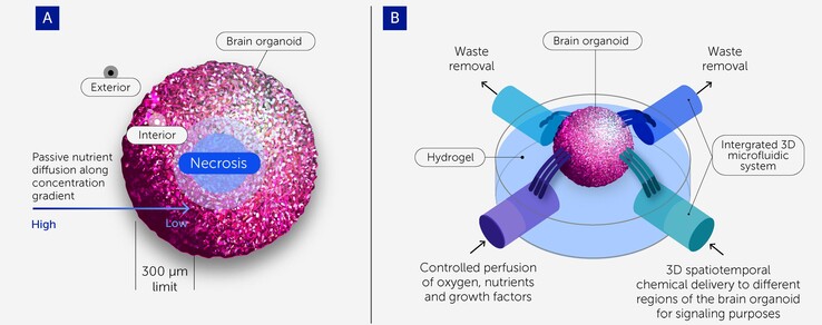 (Image Source: Frontiers of Science)