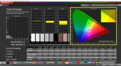 CalMAN ColorChecker (profile: Internet, target color space: sRGB)
