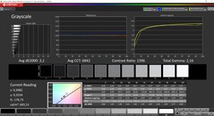 CalMAN gray scales (profile: Vivid, target color space: P3)