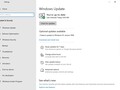 The page on which a user can update to Windows 10 1909. (Source: Microsoft)