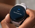 Several Garmin Forerunner smartwatches are receiving beta update version 21.18. (Image source: Garmin)