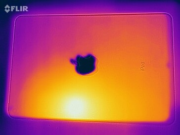 Heatmap rear