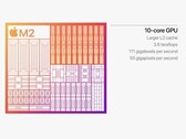 Apple's M2 iGPU features 10 cores, larger L2 cache and access to LPDDR5 memory. (Image Source: Apple)