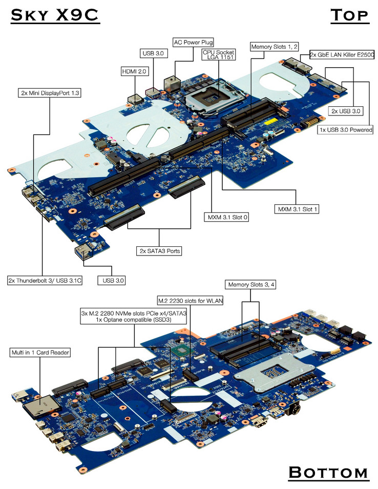 (Source: Eurocom)