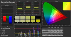 CalMAN - Color saturation (calibrated)