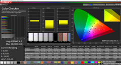 CalMAN ColorChecker (target color space P3)