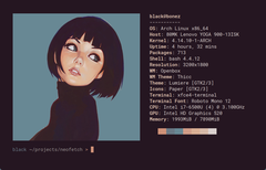 Until now, a screenshot of your own Linux desktop usually included a terminal window with Neofetch (Image: Dylan Araps/GitHub).