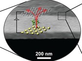 1 nm molecule-thin layer of thermal transistors placed on top of semiconductors (Image Source: Science)