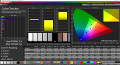 CalMAN - Color Accuracy (calibrated)