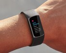 The Fitbit Irregular Heart Rhythm Notifications feature has been rolled out to over 20 countries globally. (Image source: Fitbit)