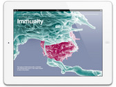 Apple announces 128GB iPad starting at $799
