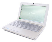 Sony Vaio VPCW21BAGZ