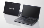 Sony Vaio VGN-AW31M/H