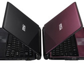 Samsung NC110 gets a Cedar Trail update