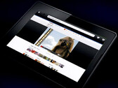 Hulu not playing nicely with RIM PlayBook