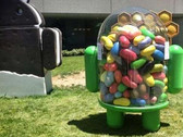 Jelly Beans arrived at Google's HQ