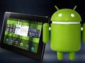 RIM promises free Playbook to Developers