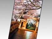 Japan Display unveils a 5.4-inch 1440p display for smartphones