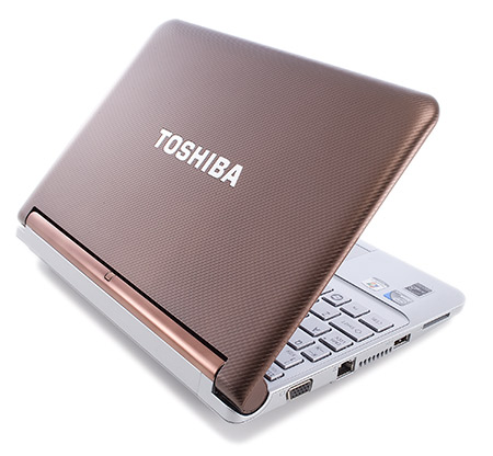 Toshiba NB305-105