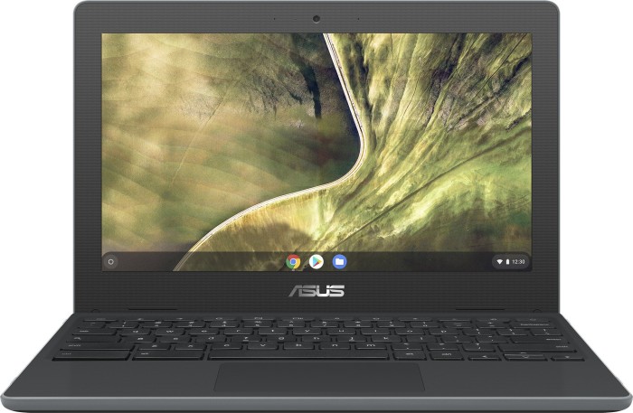 Asus Chromebook C204MA-GJ0114 - Notebookcheck.net External Reviews