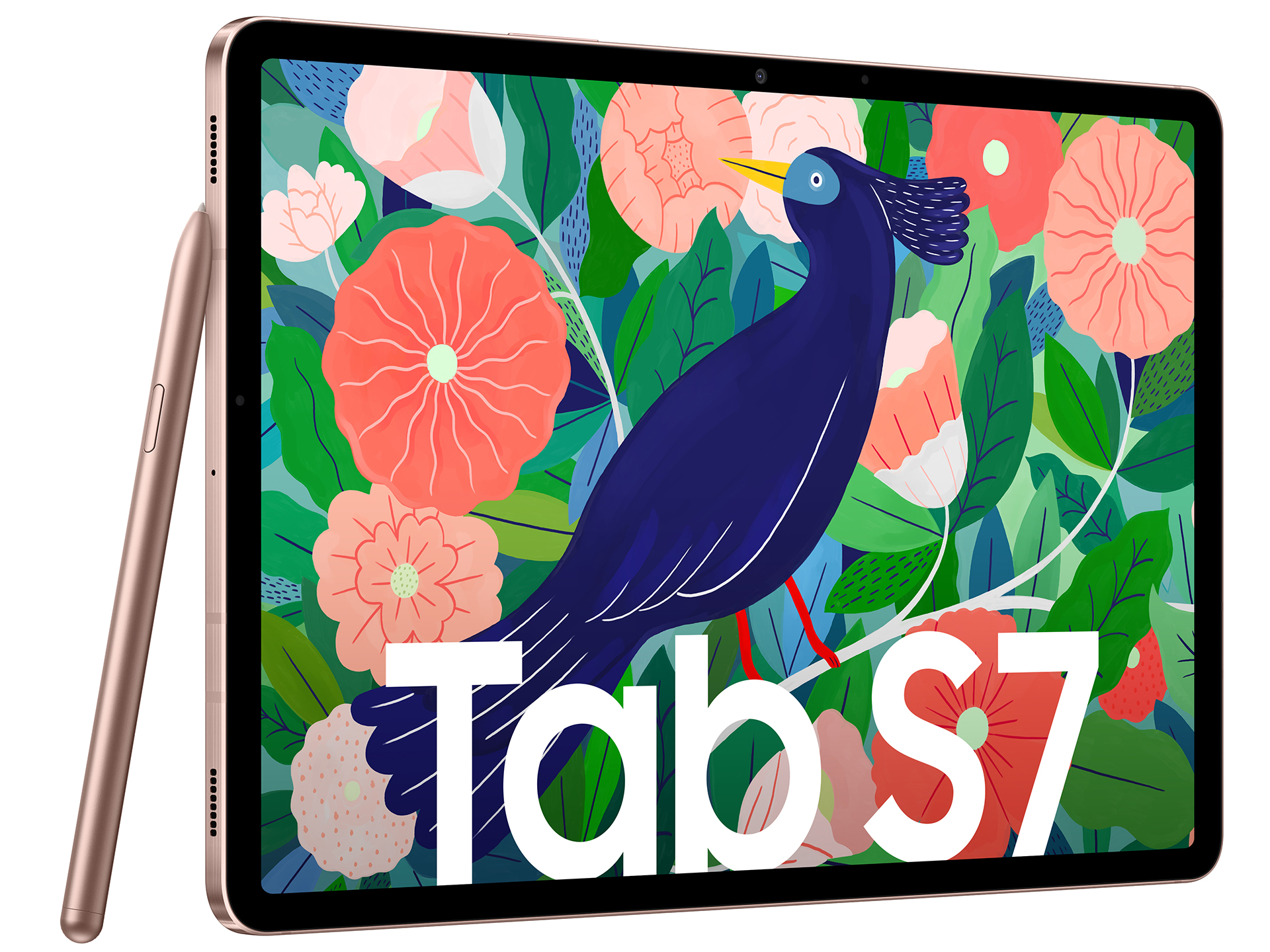 Samsung Galaxy Tab S7 Plus Review: Awesome Tablet For Video