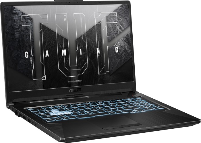 Asus TUF Gaming F17 FX706HM-HX059 - Notebookcheck.net External Reviews